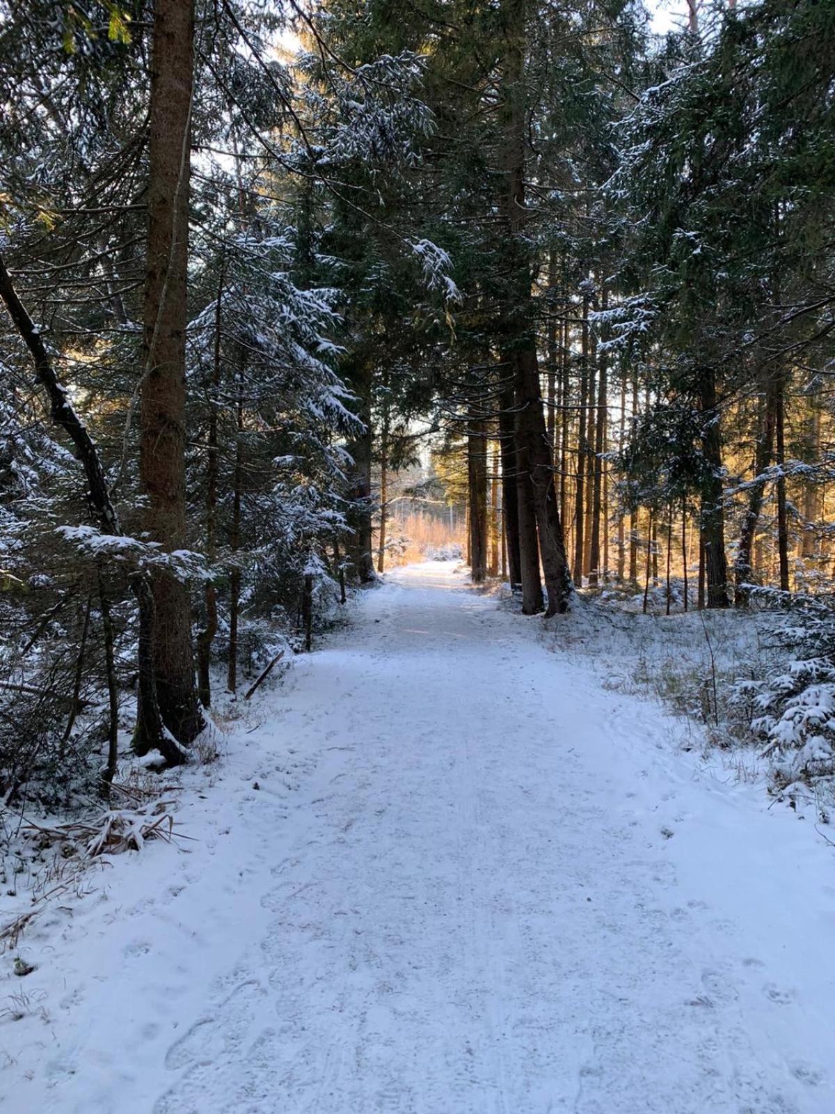 Beim Danner Villa Riedering Eksteriør billede