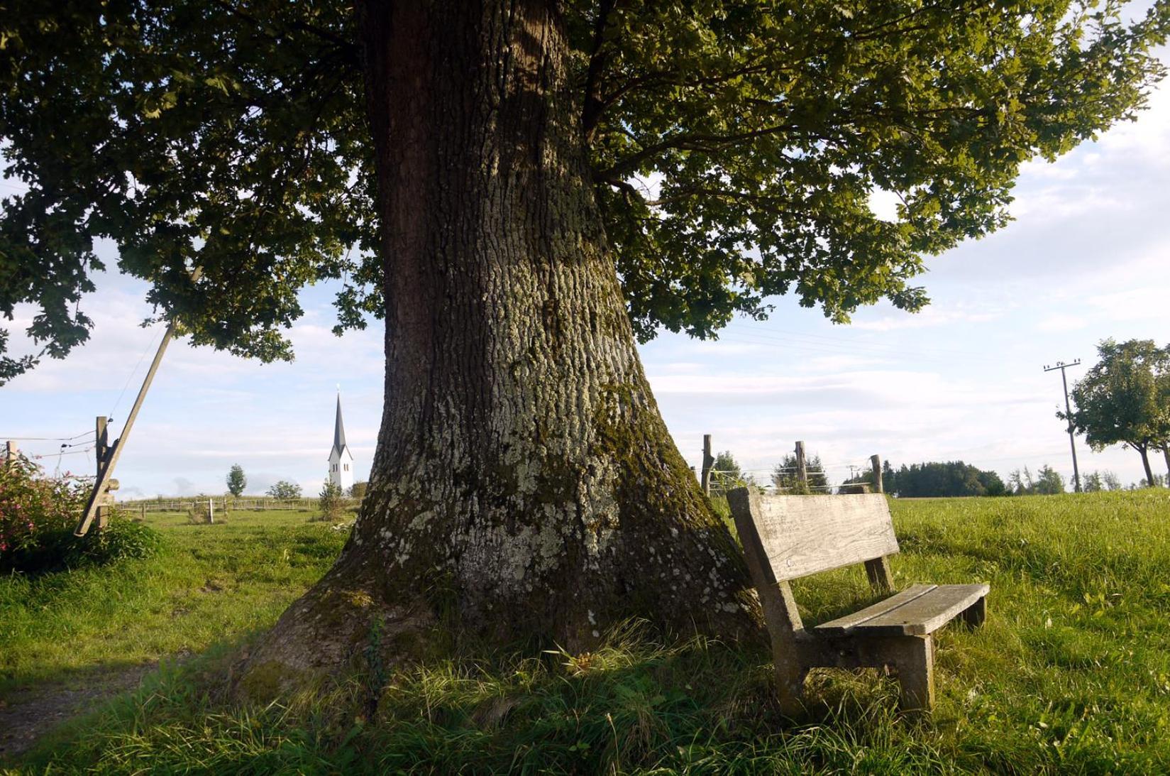 Beim Danner Villa Riedering Eksteriør billede