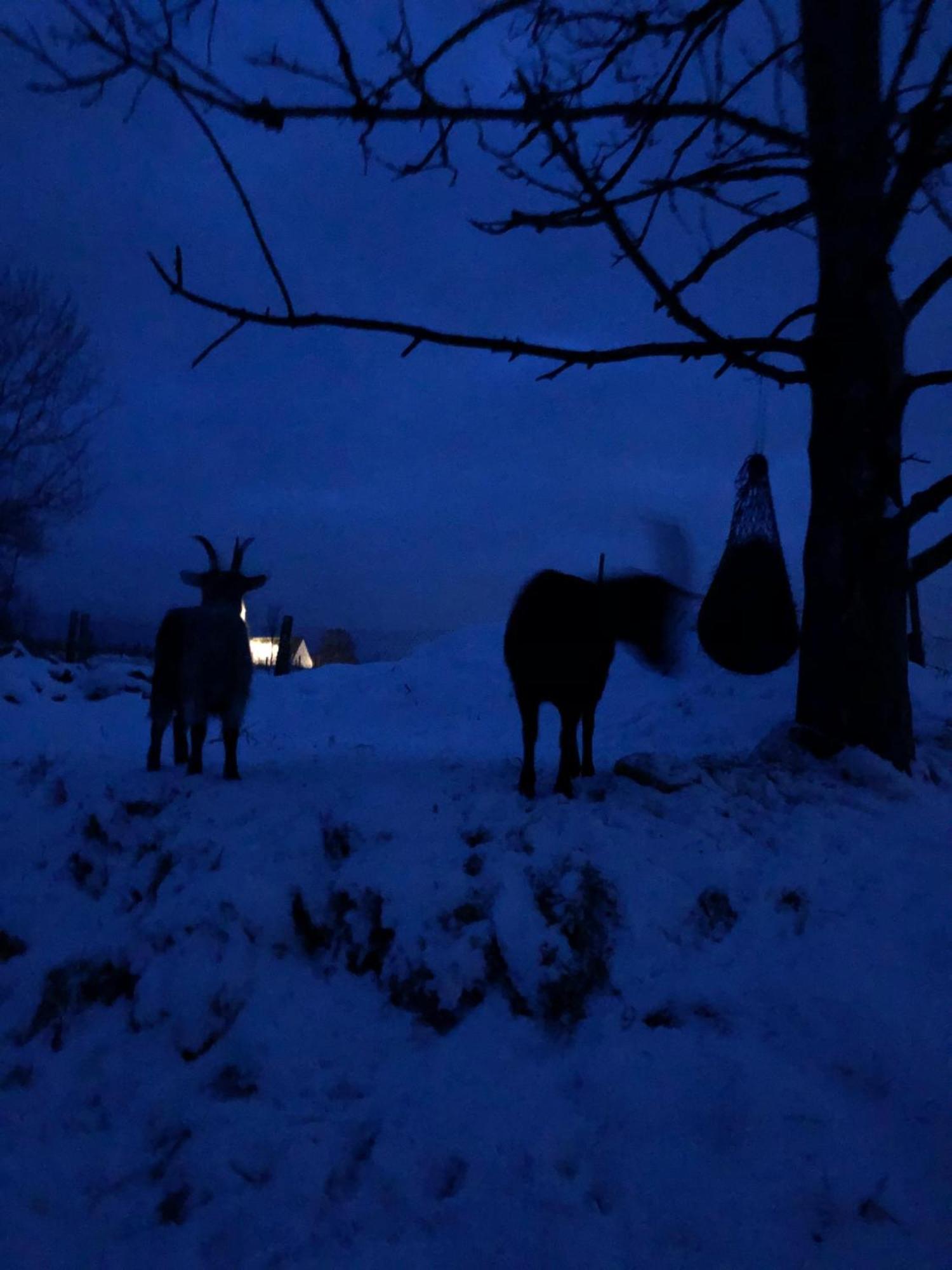 Beim Danner Villa Riedering Eksteriør billede